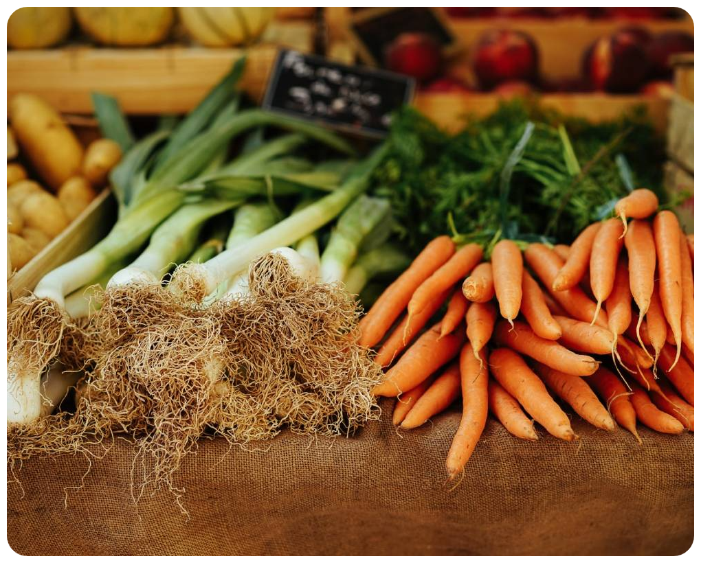 Wajoni Farming Agriculture Invest Investing nigeria agro agribusiness